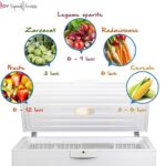 Read more about the article Ce trebuie să știm despre congelare?