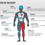 Read more about the article Beneficiile ale apei