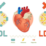 Read more about the article Totul despre colesterol