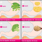 Read more about the article Digestia