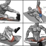 Read more about the article Importanța “stretching”- ului?