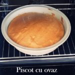 Read more about the article Pișcot cu făină de ovăz