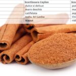 Read more about the article Scorțișoara