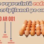 Read more about the article Codul marcat pe ouă – ce semnifică?