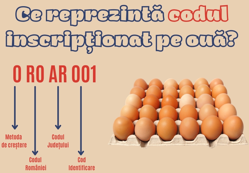 You are currently viewing Codul marcat pe ouă – ce semnifică?